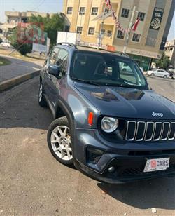 جيب رينيجيد